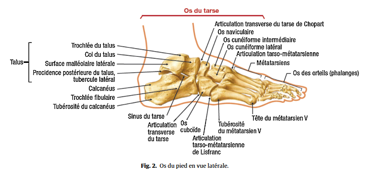 infection de l os du pied
